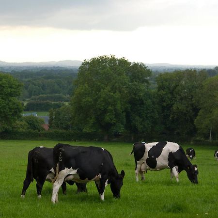 Ballindrum Farm B&B อาไธ ภายนอก รูปภาพ
